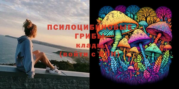 соль ск Абаза