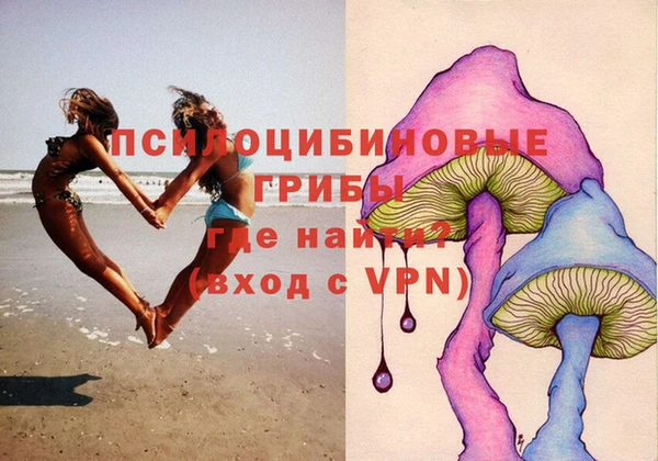 соль ск Абаза