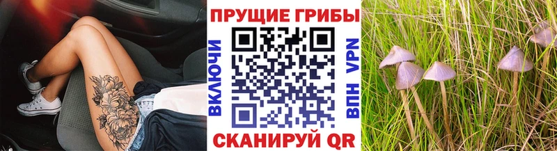 Галлюциногенные грибы мухоморы Холм