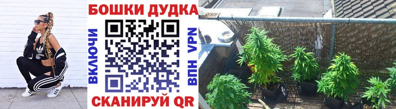 Шишки марихуана ГИДРОПОН  Холм 